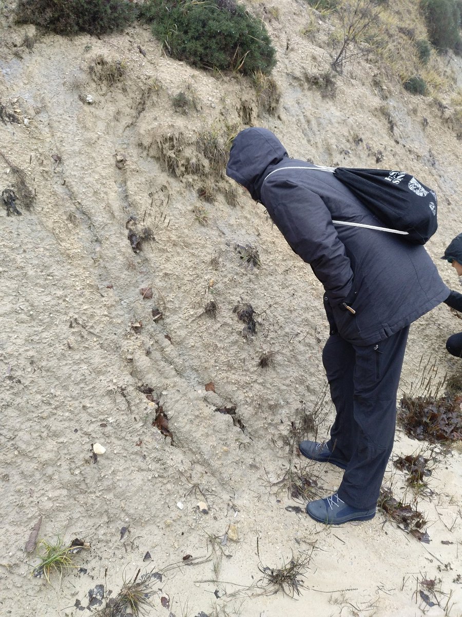gemar_ieo's tweet photo. Nos han traido a ver las #margas del #Santoniense donde observamos el límite del máximo de transgresión marina durante el #CretácicoSuperior y estamos la #mar de contentas de seguir aprendiendo sobre (paleo) fondos marinos en la #geoquedada2018 #fósiles #radiolas #equinodermos https://t.co/sKf6gUFiiX