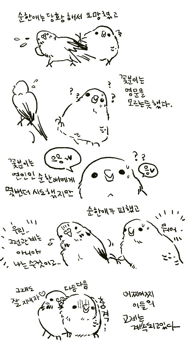 꽃분이가 그렇게 열렬하게 순한애에게 토해주더니 몇번 실패한 후로는 이제 토를 돌려받고 있다... 