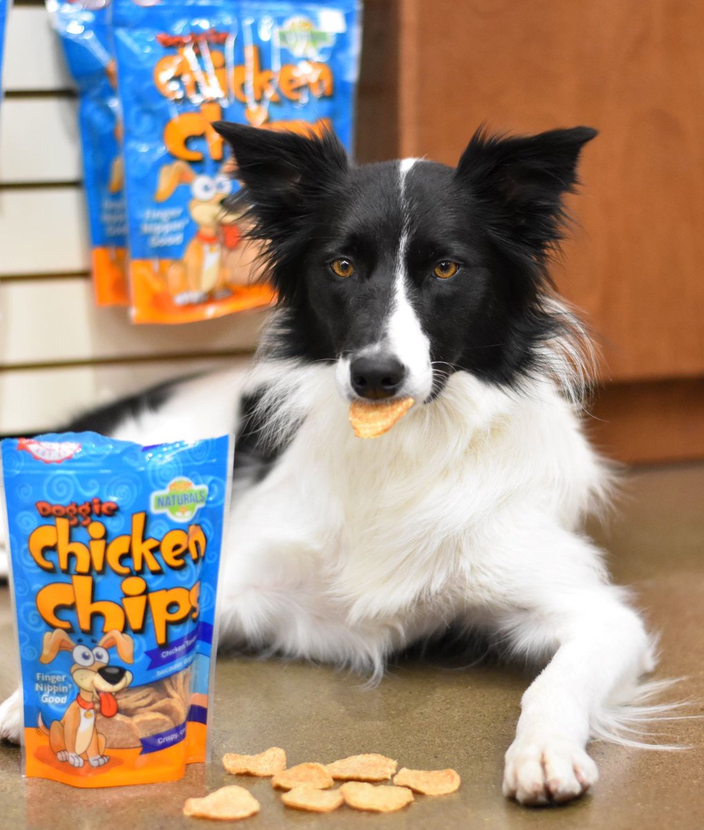 PetPeopleStores's tweet photo. If you haven't tried our Chicken Chips, they are a must have stocking stuffer. Your dog (and cat) will thank you!
#doggiechickenchips
#dogslovethese
#naturaltreats
#catslovethese
#singleprotein
#stockingstuffer
#petpeople
#pawlickin'good
#madeintheusa
#dogtreats https://t.co/qnvybyIIX5