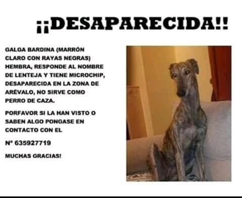 Ana M:cambia los estatutos no les hagas daño🐱🐴🐶 tweet media