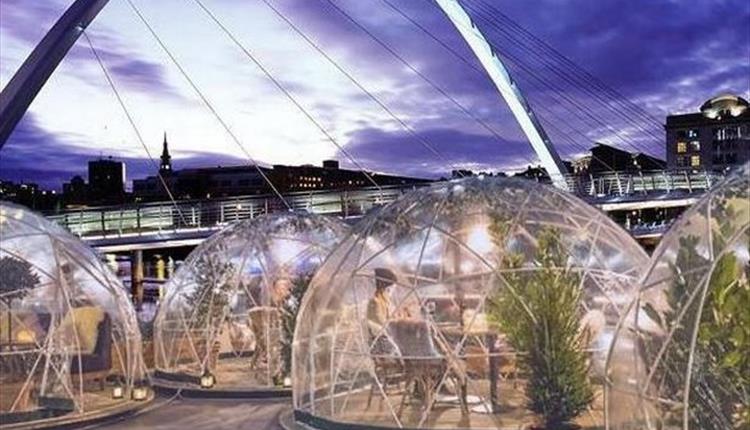 NewcastleGateshead (@altweet_pet) on Twitter photo There's a Christmas Pod with your name on it! Dine By the Tyne, under the stars throughout December - there's even space for a very unique New Year's Eve! You'll be tucking into a 3 course meal by <a href="/ColonelPorters/">Colonel Porter's</a> & glass of wine each <a href="/ChristmasTyne/">Christmas Tyne</a> newcastlegateshead.com/whats-on/dine-โฆ There's a Christmas Pod with your name on it! Dine By the Tyne, under the stars throughout December - there's even space for a very unique New Year's Eve! You'll be tucking into a 3 course meal by <a href="/ColonelPorters/">Colonel Porter's</a> & glass of wine each <a href="/ChristmasTyne/">Christmas Tyne</a> newcastlegateshead.com/whats-on/dine-โฆ