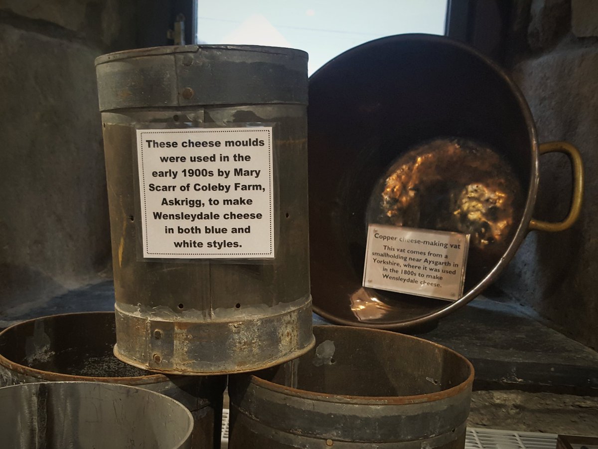 sophiasample's tweet photo. You can take the girl out of the museum but you can't take the museum out of the girl! 🧀 @CourtyardDairy @SalisburyMuseum #cheesemuseum https://t.co/IRkCuibb5u