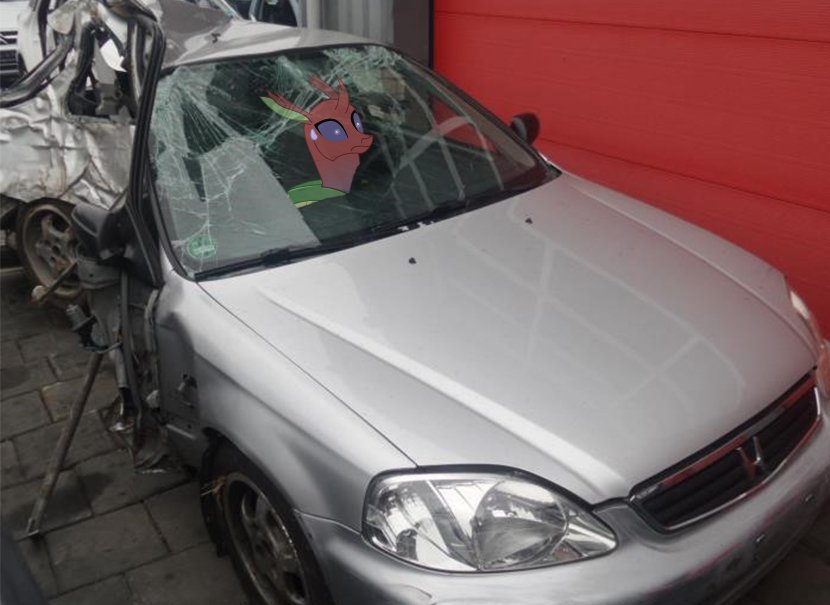 Wingbite_'s tweet photo. O_O
#Honda #Civic #O_O #YouTubeRewind2018 #halflife #changeling #mlp #Mylittlepony #urmomgay # https://t.co/oQbdfDkVbs