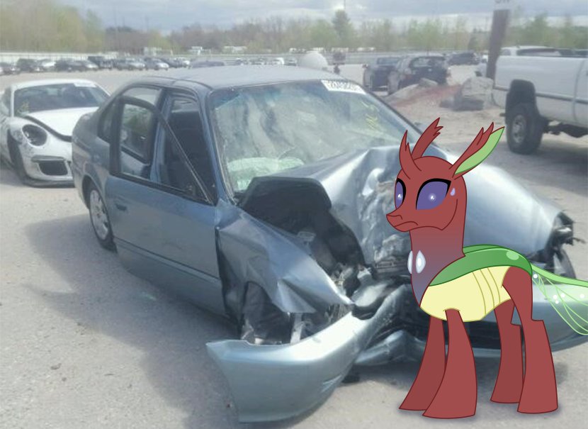Wingbite_'s tweet photo. O_O
#Honda #Civic #O_O #YouTubeRewind2018 #halflife #changeling #mlp #Mylittlepony #urmomgay # https://t.co/oQbdfDkVbs