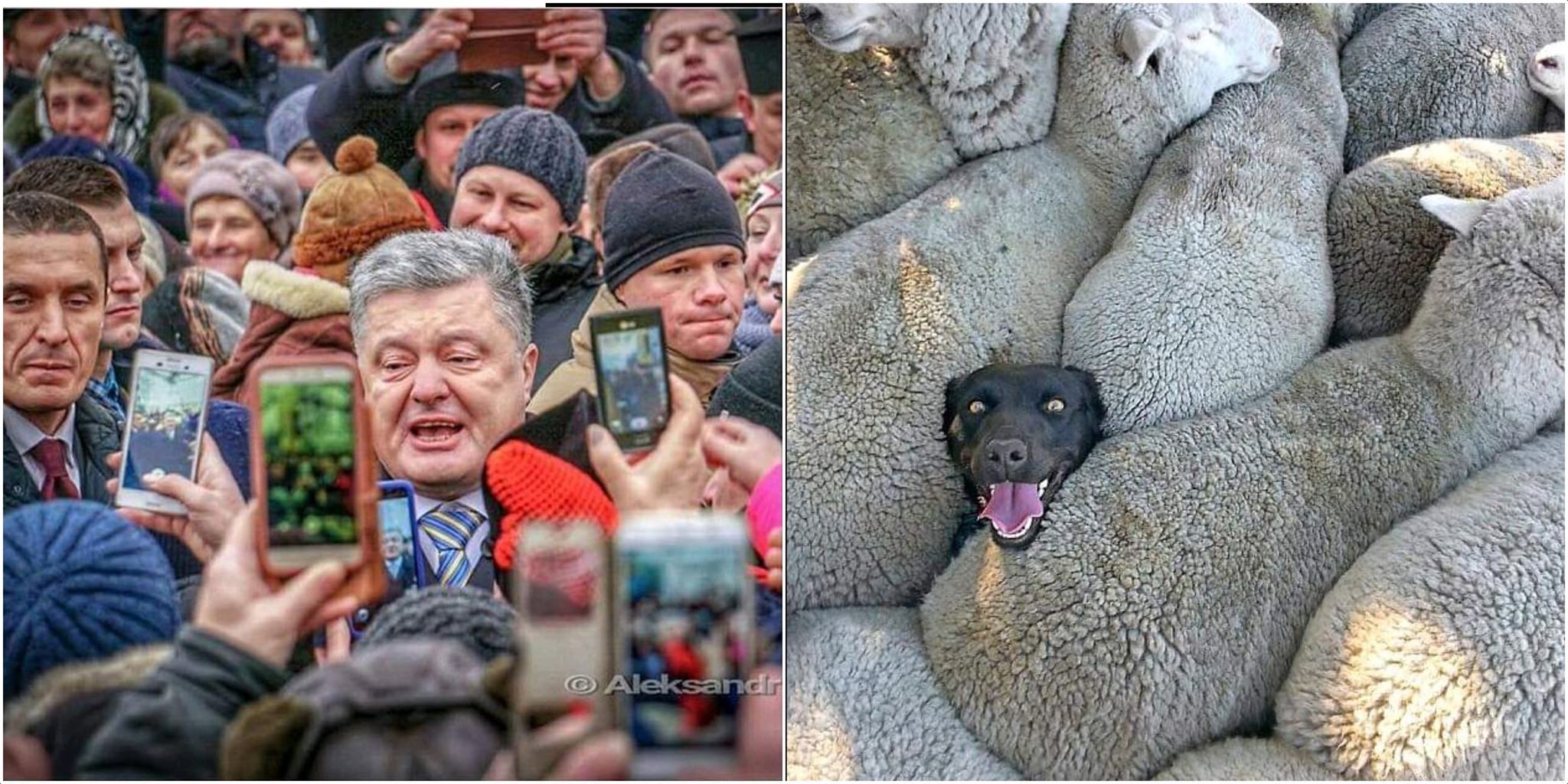 Порошенко оголосив про створення Об'єднаної української церкви - Цензор.НЕТ 5582