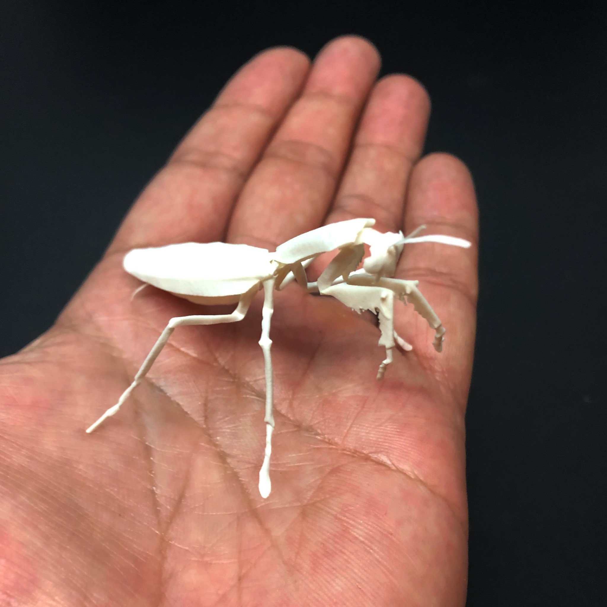 ヤムシスワークス 切り折り紙 ペーパークラフト作家 カエルに続きまして ファイバークラフト紙 でカマキリの 切り折り紙 してみました いつもの1枚紙糊付け無し 紙とまったく同じ作り方で 違いを比較中 細い足が折りにくいけど この強度は魅力