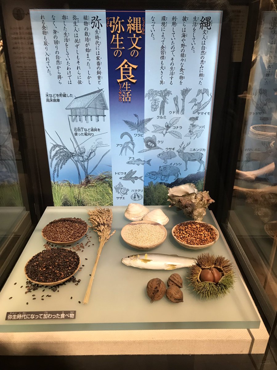 Daolily's tweet photo. Visited National Museum: Japanese people have cultivated a high level of sensitive and a rich view of nature because they try to live in harmony with nature in a rich nature environment, they even put seasons in their dishes. Met the legend - Hachi for real!!! #UonLawJapan https://t.co/kYSnYpMVJq