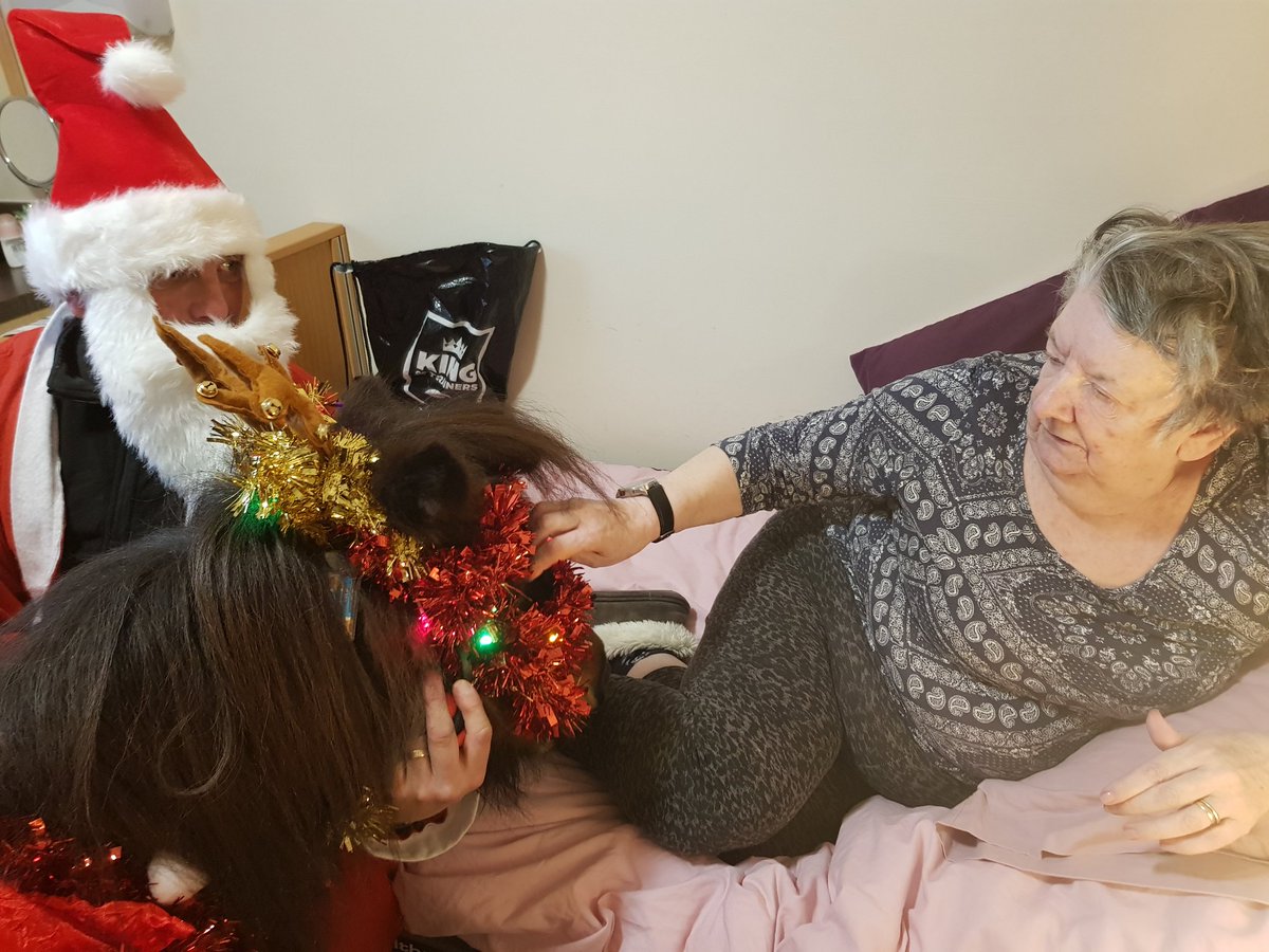paje100's tweet photo. A wonderfully festive visitor today @HC_One rose court bringing so much joy @KarenDavies9040 @leabat3 @NicolaJayneGar1 https://t.co/ZxYJeBoPdX