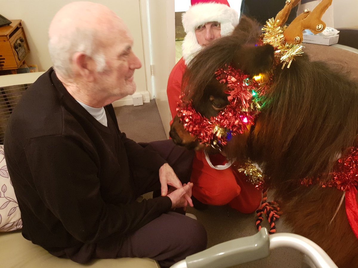 paje100's tweet photo. A wonderfully festive visitor today @HC_One rose court bringing so much joy @KarenDavies9040 @leabat3 @NicolaJayneGar1 https://t.co/ZxYJeBoPdX