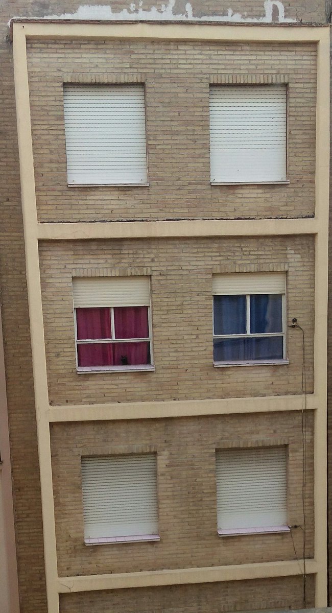 Josep_CL's tweet image. Miau