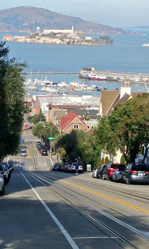 NotTheDigiNomad's tweet photo. Iconic San Francisco steep roads with Alcatraz in the background
Amazing how cars and trams go up and down the that slanting roads
#sanfrancisco
#sanfranciscolife
#sanfranciscotwinpeaks
#california
#alcatraz
#alcatrazisland
#steeproad https://t.co/prES9lZrYU