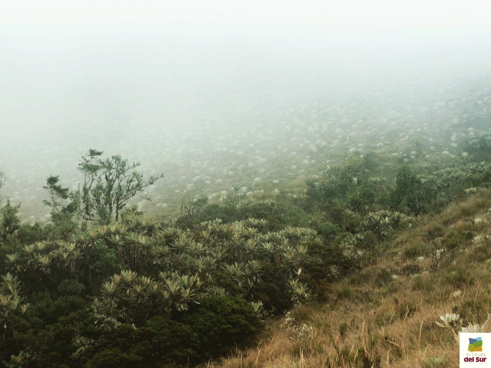 #Paramo Mucuqui -Mijara #PueblosdelSur #Mérida #TurismoRural