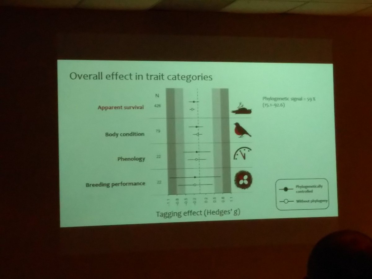 Migrant Landbirds tweet media