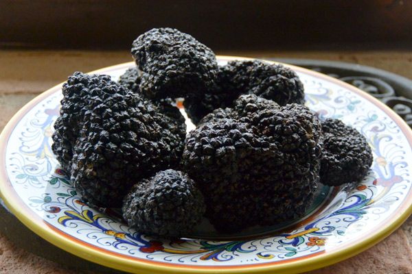 It's Truffle Season! Come enjoy the bounty of Emilia Romagna's black truffle harvest grated table side over house made pasta or anything you like.