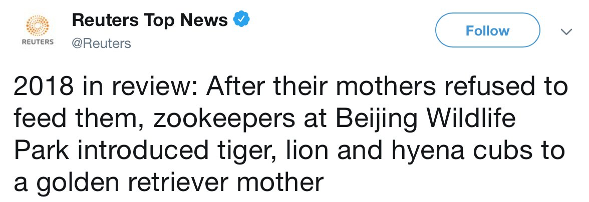 Just keep saying no (@hangingmodifier) on Twitter photo 