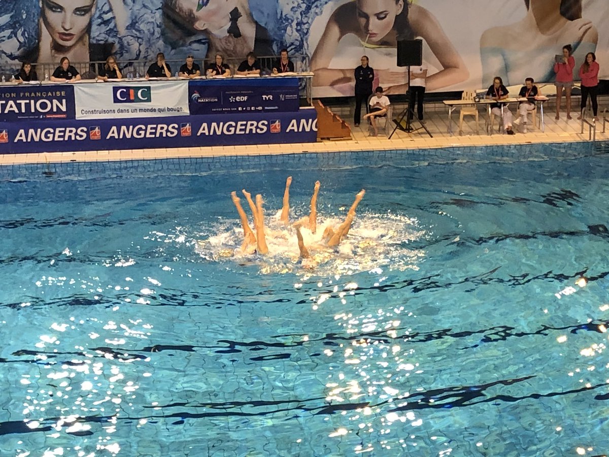 AngersTriathlon's tweet photo. Superbes championnats de France de #natation #artistique à #ANGERS #SportAngers #FFN @FFNatation https://t.co/1muBWxd6iA