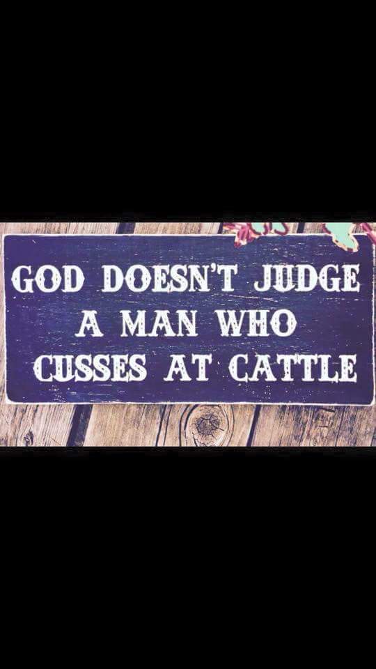 Paul Ferda (@ferdapaul) on Twitter photo 