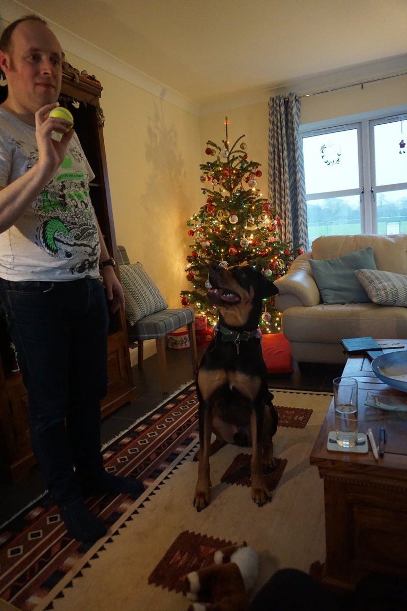 RoccoRottweiler's tweet image. #ThrowTheBall, #throw the #ball, throw the ball!!
#please!

#dogsoftwitter #dogsofinstagram #rottweiler