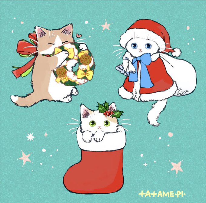 「花 白い猫」のTwitter画像/イラスト(新着)｜8ページ目