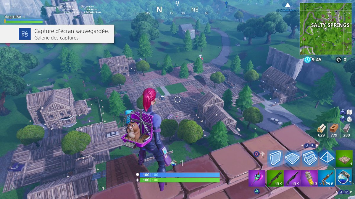 EthanS90's tweet photo. #Fortnite #SaltySpring #Dryxio https://t.co/hkpTcBo5Xq