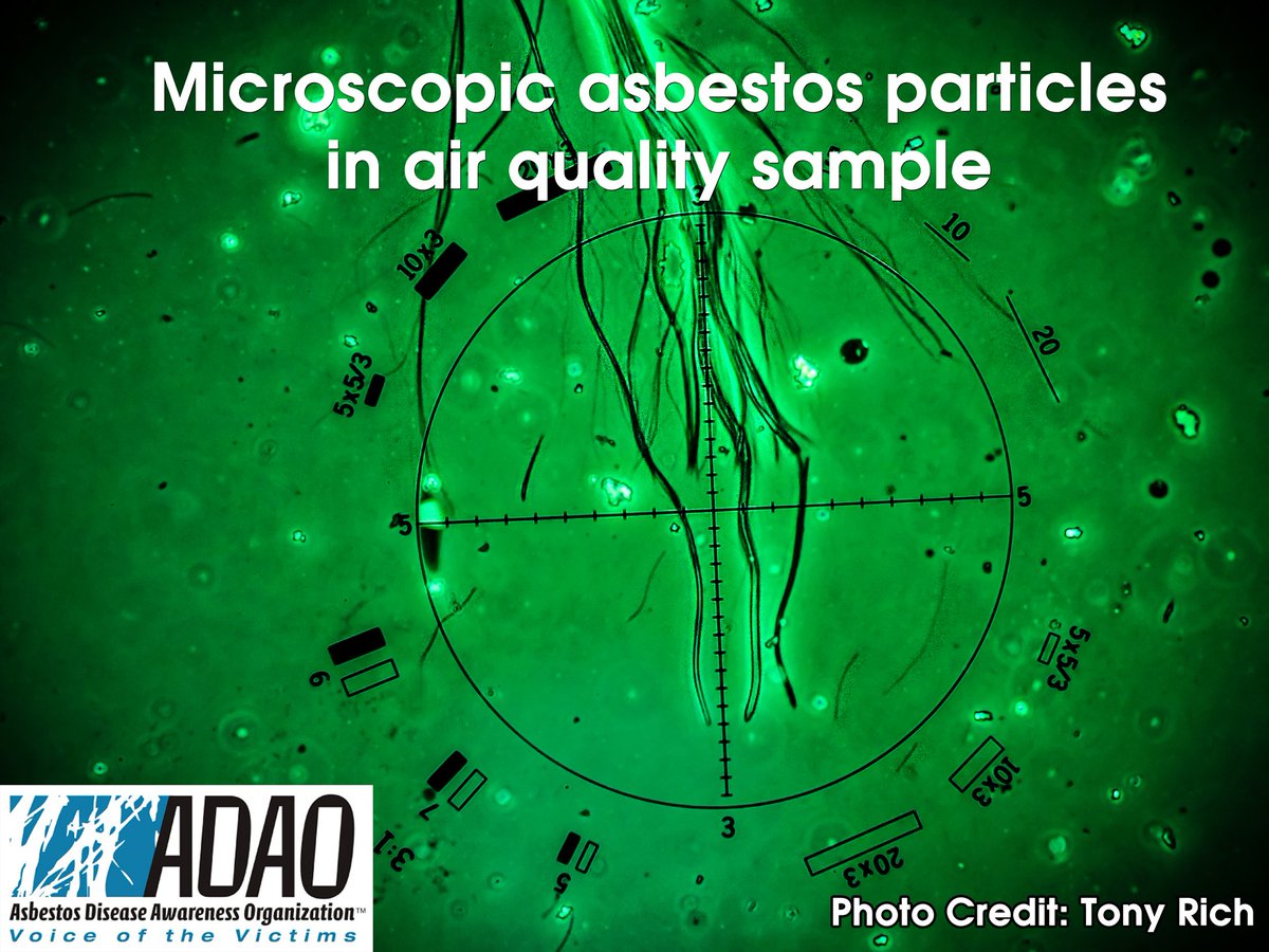 ADAO See for Yourself PHOTO: Microscopic #asbestos particles in air quality sample by <a href="/asbestorama/">Asbestorama Dotcom</a> #TSCA #Mesothelioma #ToxicEPA #BanAsbestosNow