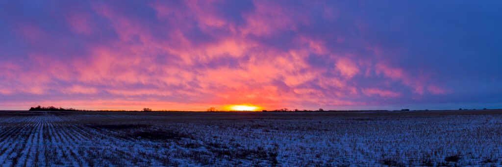 BryanMierau's tweet photo. Saturday #sunrise in #Saskatchewan love the pallet Mother Nature displays. #manitoumoments @watrous_manitou #saskatchewan #meanwhileinsask @prairiesnorth #tourismsask #yxe #skskies #saskphotos @PQuinlanGlobal @GlobalSaskatoon https://t.co/Zle2DbOGNM