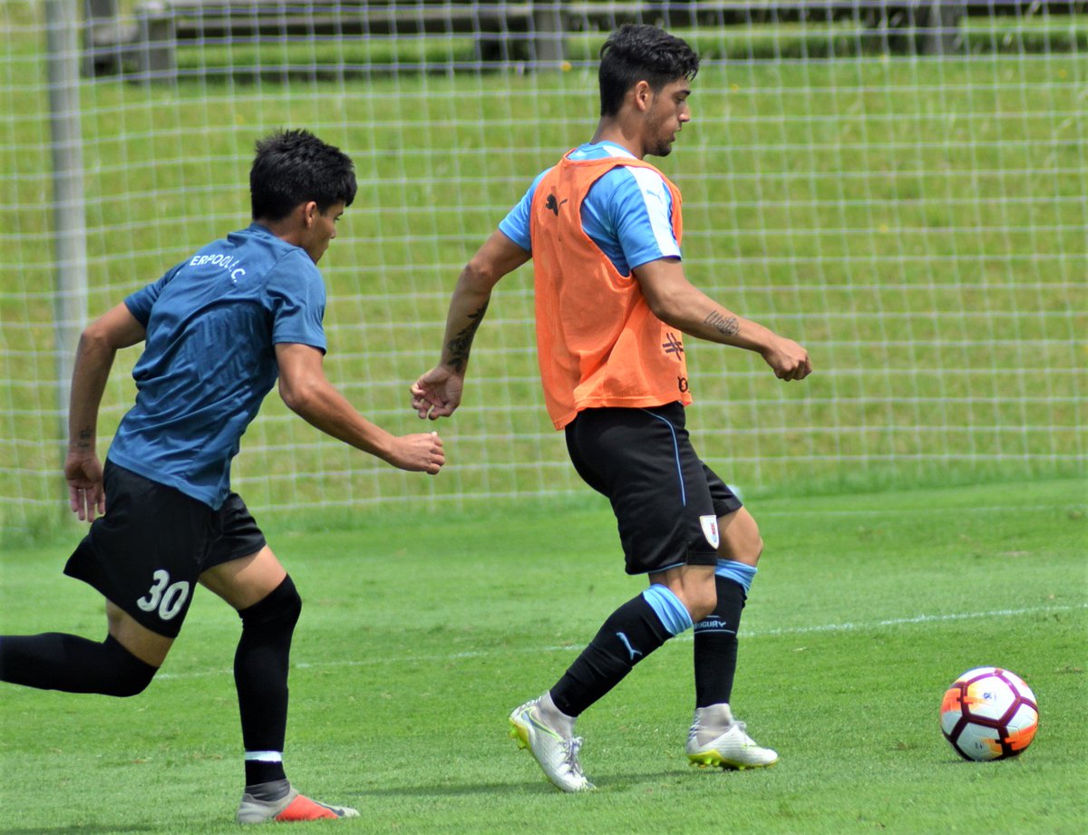 Uruguay's tweet photo. #Sub20 | @Uruguay disputó un amistoso ante @LiverpoolFC1915, esta mañana en el complejo Celeste, y cerró una nueva semana de entrenamientos previos al Torneo Sudamericano 2019. https://t.co/lN6k7qAhU4