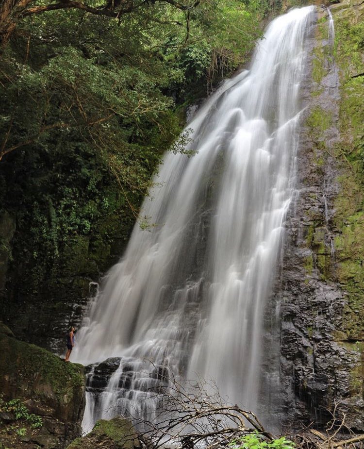Panama has so many waterfalls is hard to choose a favorite. Who would you bring here? 
//
Panamá tiene tantas cascadas, es difícil escoger la mejor. ¿A quién traerías aquí?

📍Cascada La Furunera, La Peña, Santa Fe, Veraguas 

📸: <a href="/edward_silleros/">🅴🅳🆆🅰🆁🅳 🆂🅸🅻🅻🅴🆁🅾🆂</a> vía Instagram 

#visitpanama