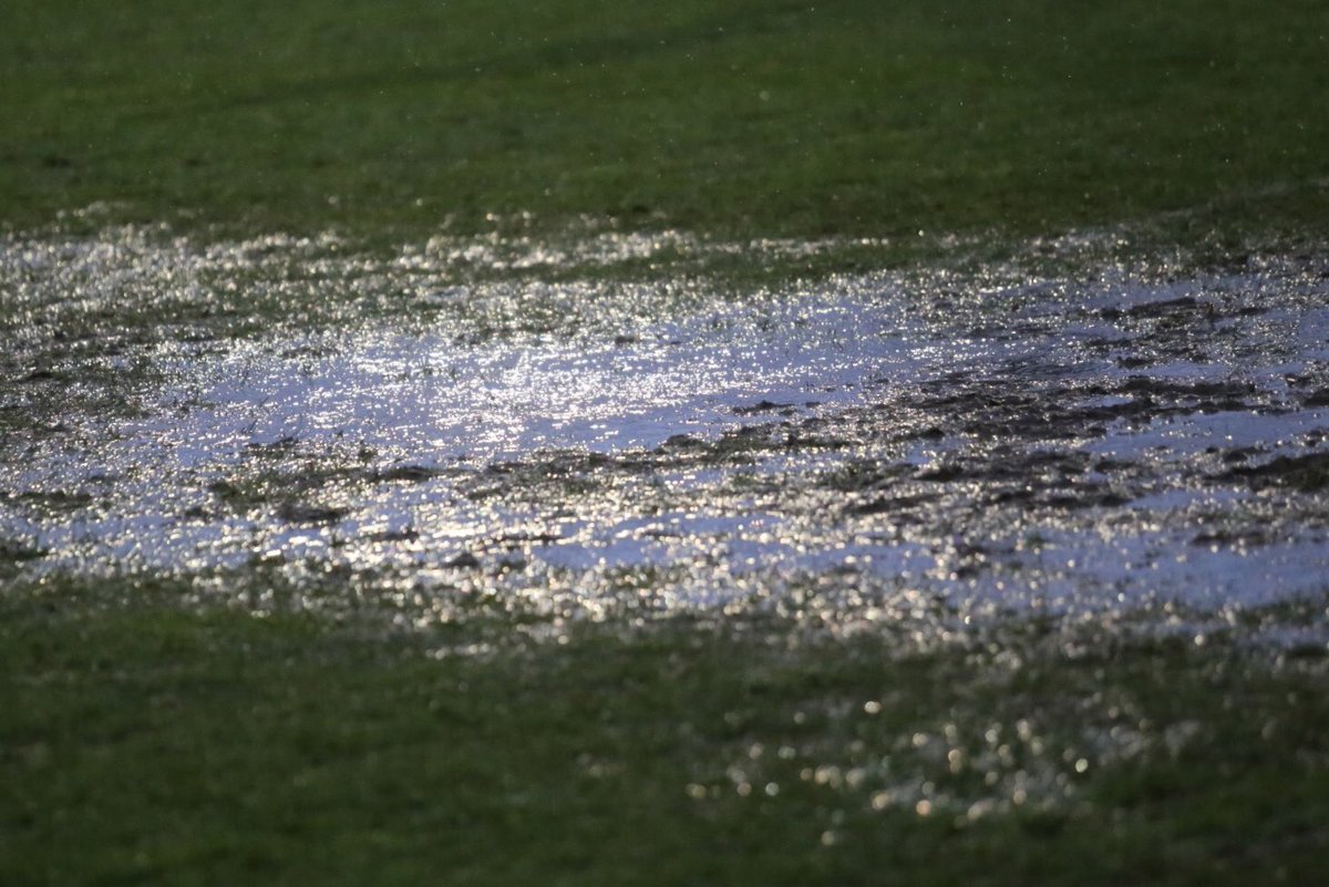 Don Walker tweet media