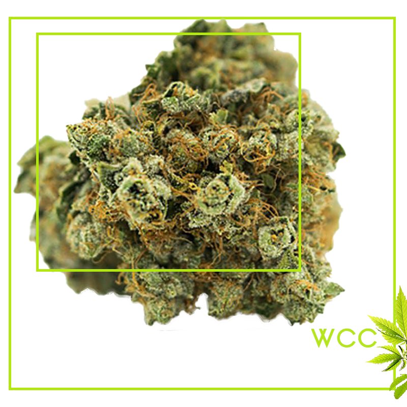 WCC25Cap's tweet photo. Get lifted the natural way!
••••••••••••••••••••••
Follow Whittier Care Center for quality 📲
••••••••••••••••••••••
#WhittierCareCenter #Buds #Nugs https://t.co/QDoP6m1ATN