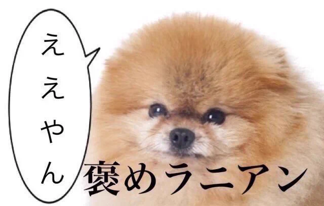 @x_vosem_x 
