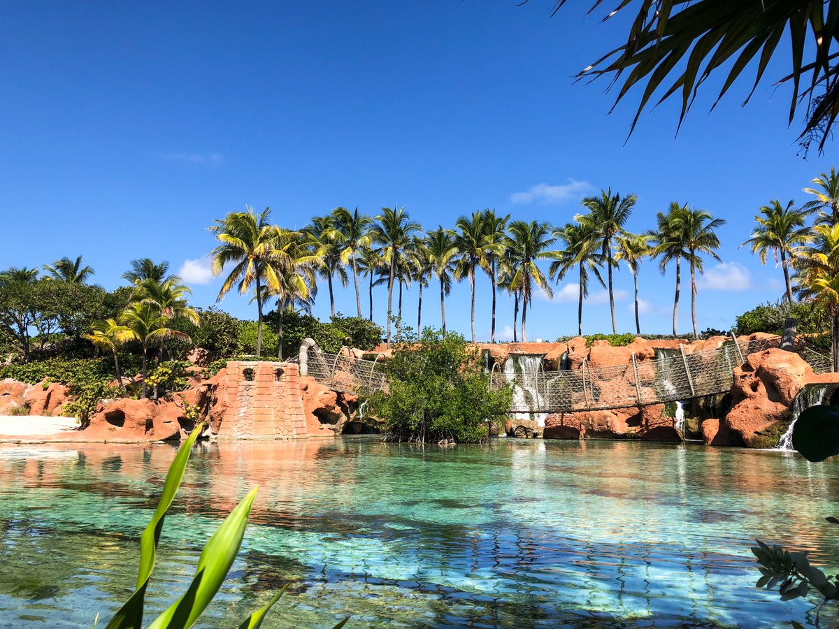 AtlantisEspanol's tweet photo. Explore nuestro paisaje acuático y descubra impresionante colección de exhibiciones marinas. 🦈 #BuenSábado #EsteFinde #Puente #RopeBridge #Aventura #PredatorLagoon #SaturdayMorning #AtlantisBahamas #BahamasAtHeart https://t.co/HQGuoc4XRm