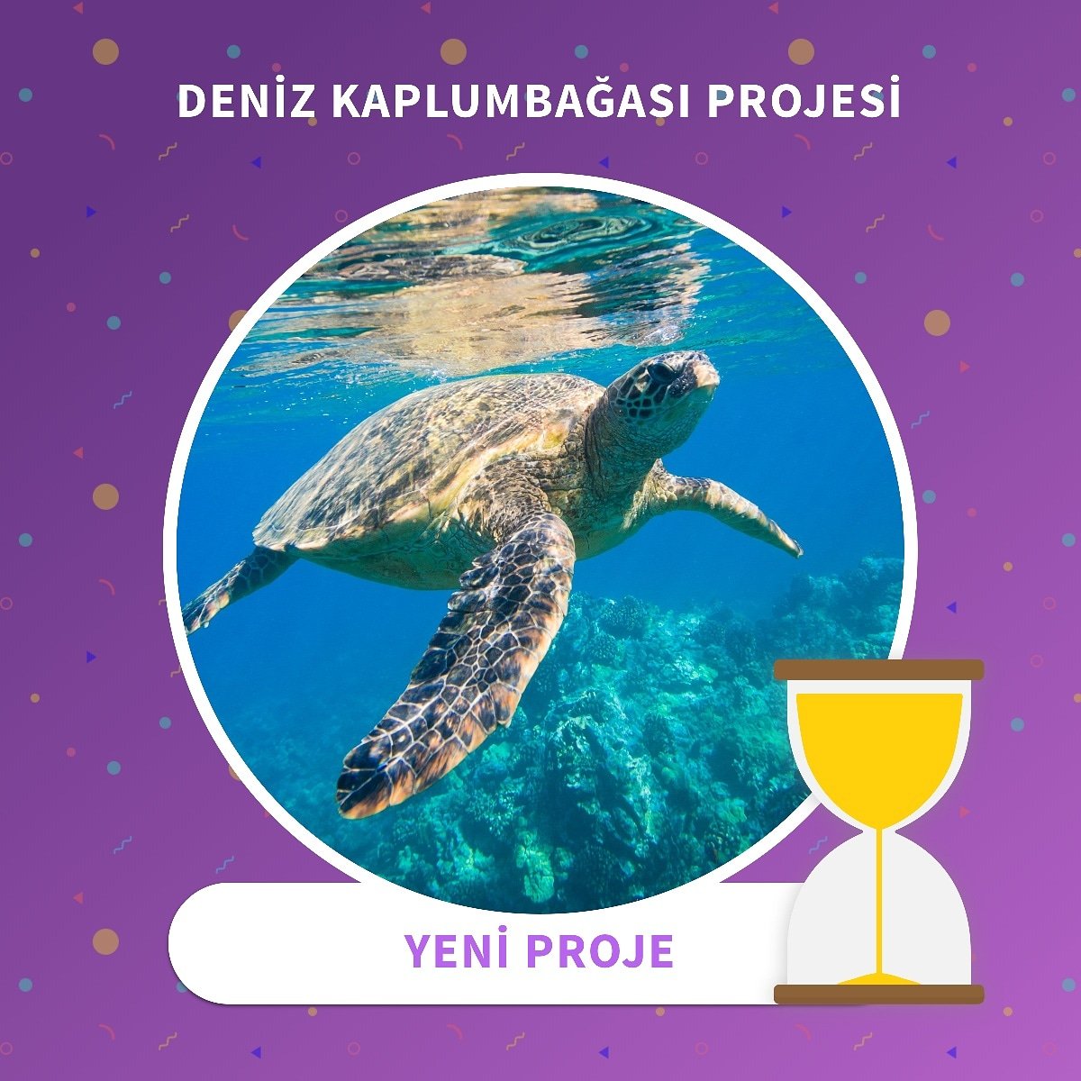 BeGoodtoMeApp's tweet photo. Siz de hemen https://t.co/fJ2UMfFxlR uygulamasına girip, İyipuanlarınızı aktararak, bizimle birlikte 5 deniz kaplumbağasını evlat edinebilirsiniz. https://t.co/ctNyKqkHKf