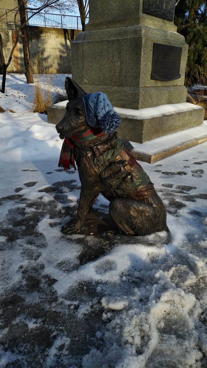 What a gorgeous #Saturday.  Out wandering around #ConfederationPark and some of the streets. Someone decided to keep the #warmemorial to the #dogs who served warm for the #winter. So thoughtful!