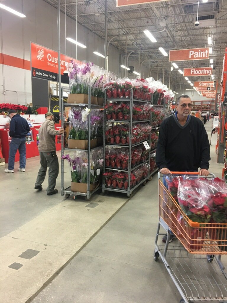 Happy Saturday! New addition to this weekends delivery,  here at #homedepot #poinsettias #TeamPureBeauty #hd0275 #orchids @PBFmedia <a href="/bjryan3/">bj ryan</a>