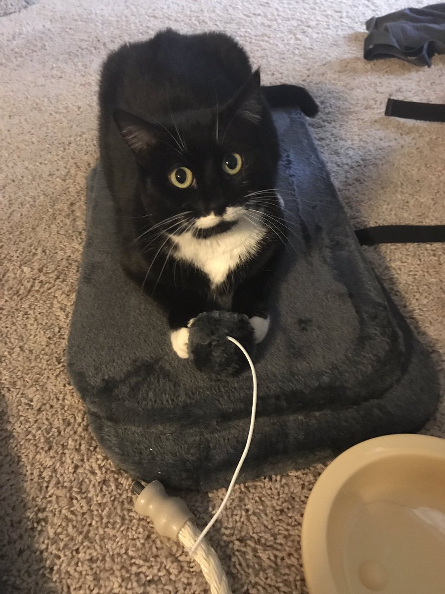 We’re putting together my holiday gift... it’s already a hit!