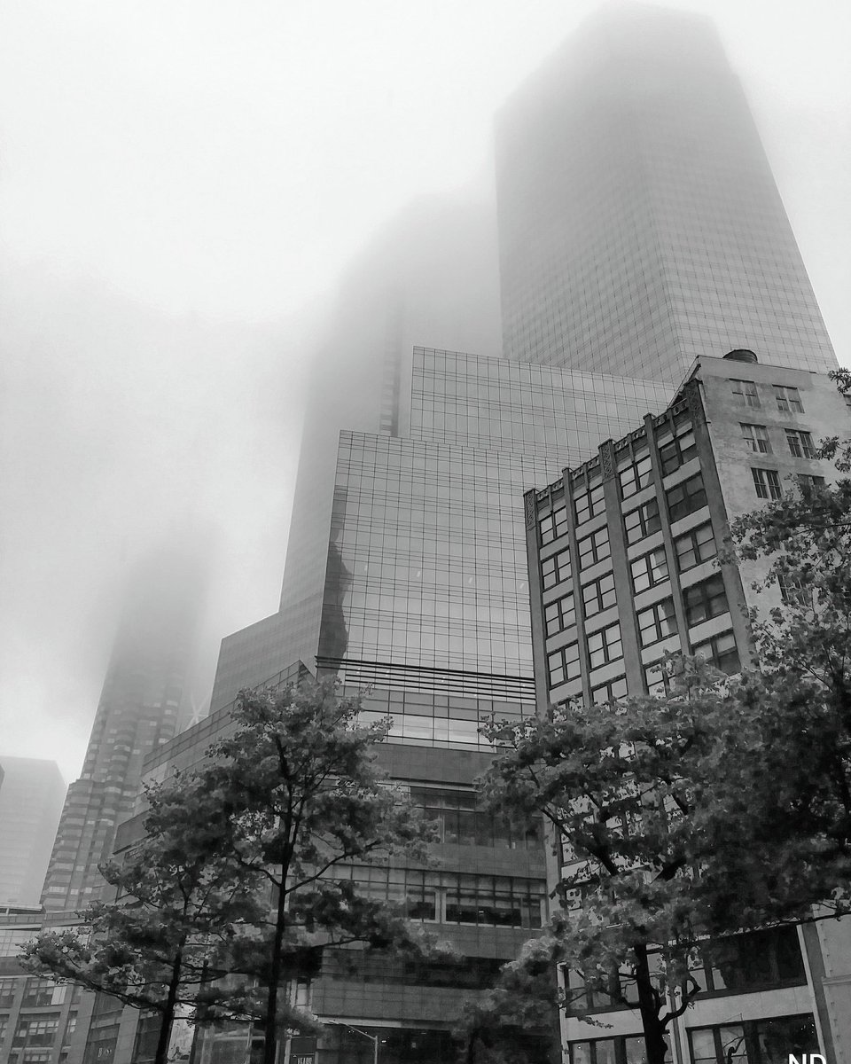 Foggy day in NYC.
#bhportdev #nyc #foggy