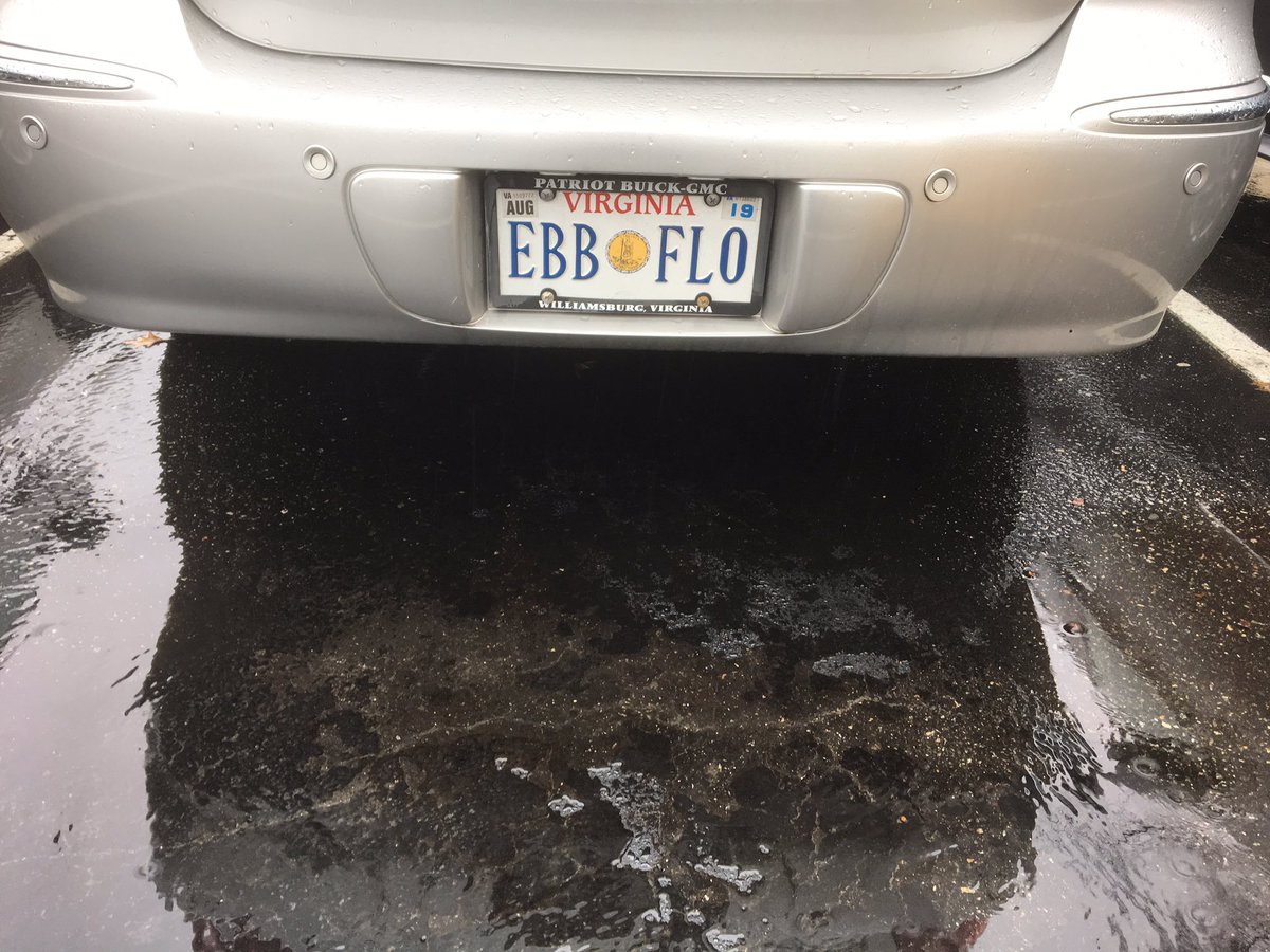 colliedad's tweet photo. @VAVanityPlate maybe appropriate today. https://t.co/G70qNEvDUX