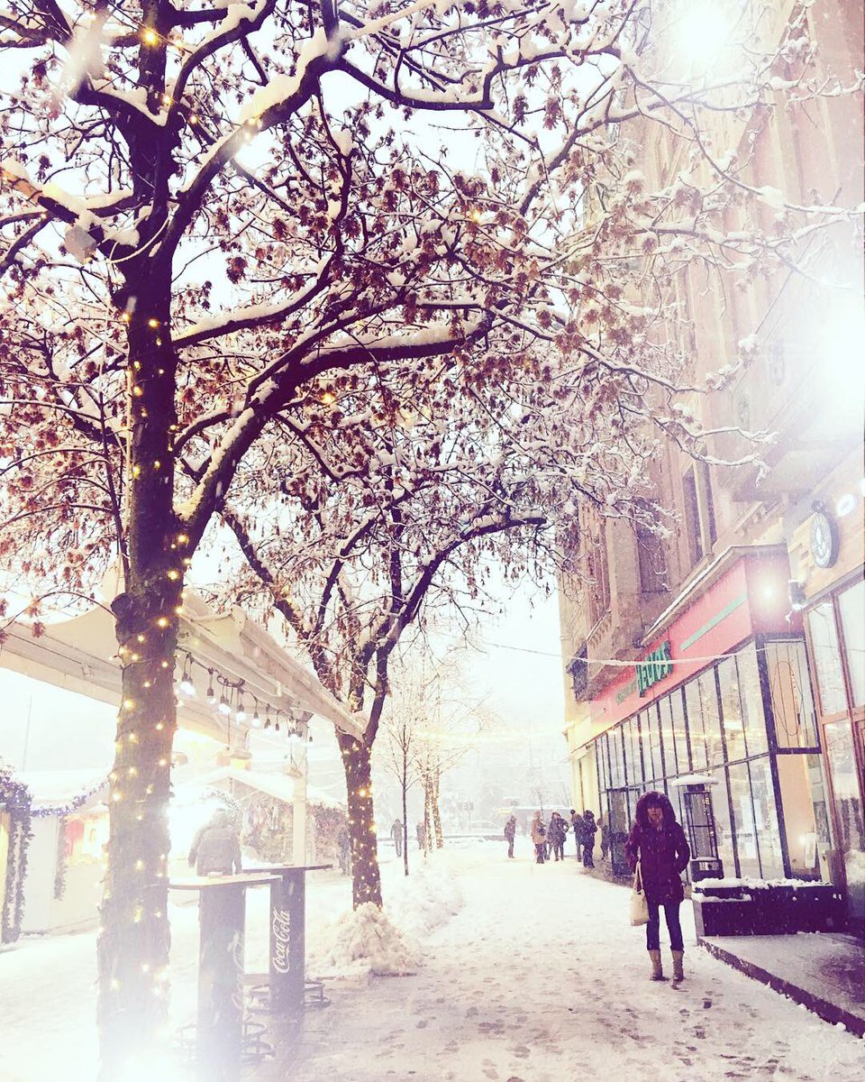 ilioiumadalina's tweet image. ✨Lost in a fairytale✨

#basm
#mom
#timisoaracity