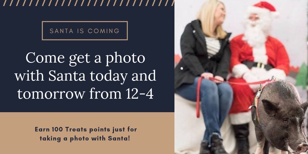 Petsmart Santa Cruz tweet media