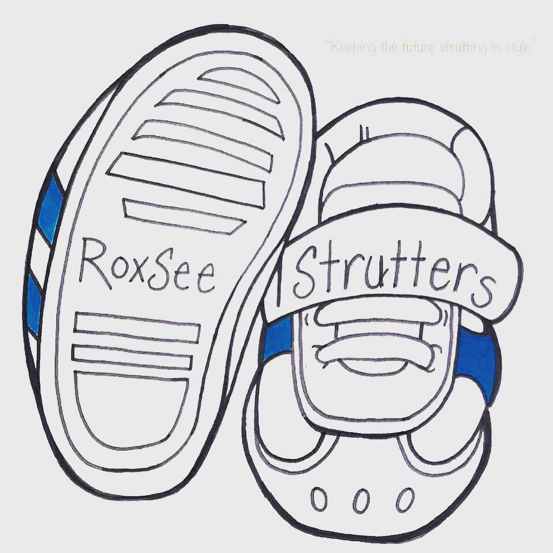 #shop and #giveback ! <a href="/RoxSeeStrutters/">RoxSee Strutters</a> each pair of shoes sold will give a #book to #children in need!  #holidayseason #giftgiving #shoes #children #futuregen #educatedminds