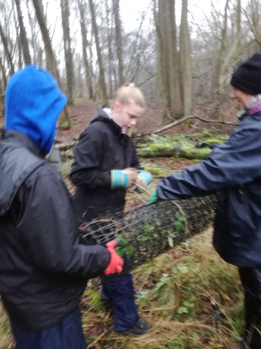 WyeValleyNL's tweet photo. Wye Valley Youth Rangers #volunteer heros in a storm. #recycling old fence in #NationalNatureReserve Supporting #AONB & @NAAONB work. I am #excited &#proud to re-present our vols in London #LandscapeReview @julian_glover https://t.co/yovV1sn3OQ
