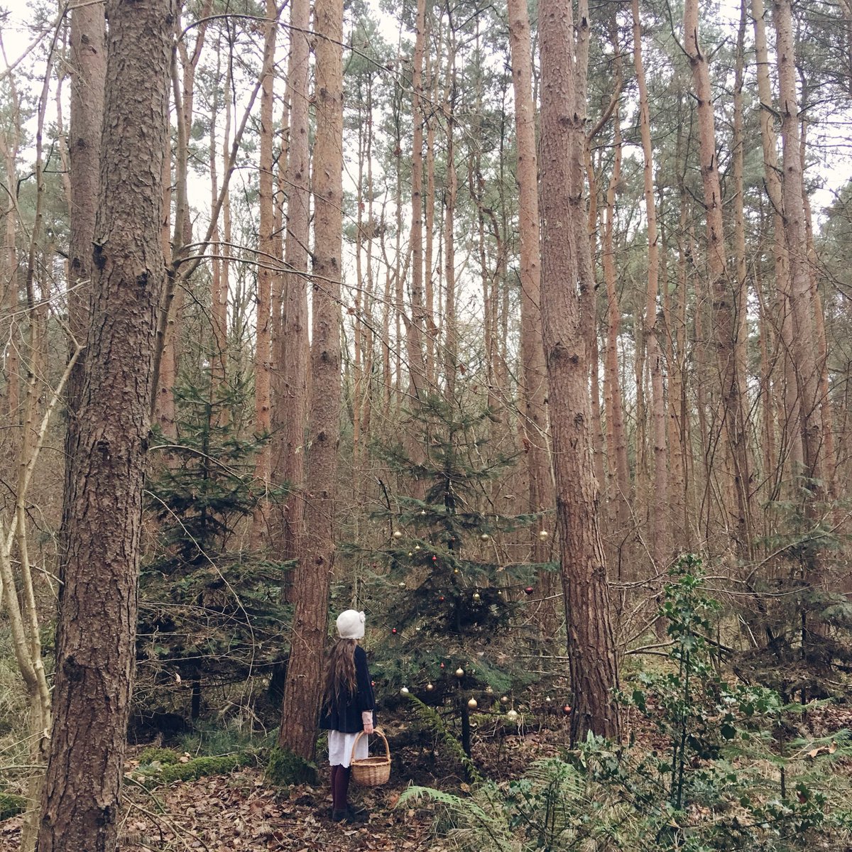 An afternoon with the mist and rain in the forest and a basket of baubles 💕