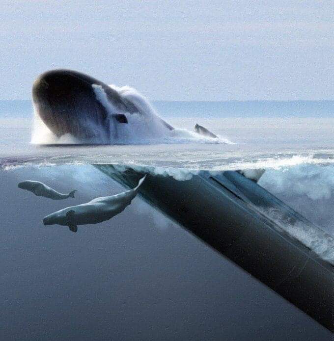 DueWqTPXQAQQF3M.jpg:large