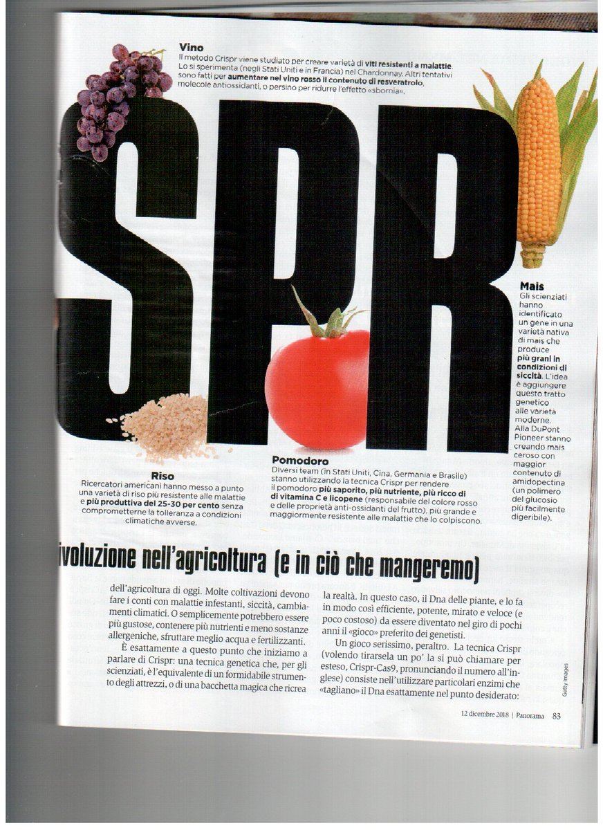 anto_lucarelli's tweet photo. Vuoi vedere che l'#Europa (e l'Italia ne subirà le conseguenze) si opporrà anche alla rivoluzione in arrivo per l'#Agricoltura con il #CRSPR?!  Speriamo di no altrimenti i #pomodori a cui saranno ridati i sapori persi e a cui saranno aumentati i licopeni ci arriveranno dalla Cina https://t.co/gxzWA01L9c