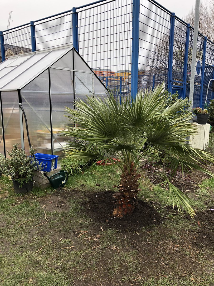 Christchurch School Community Garden tweet media