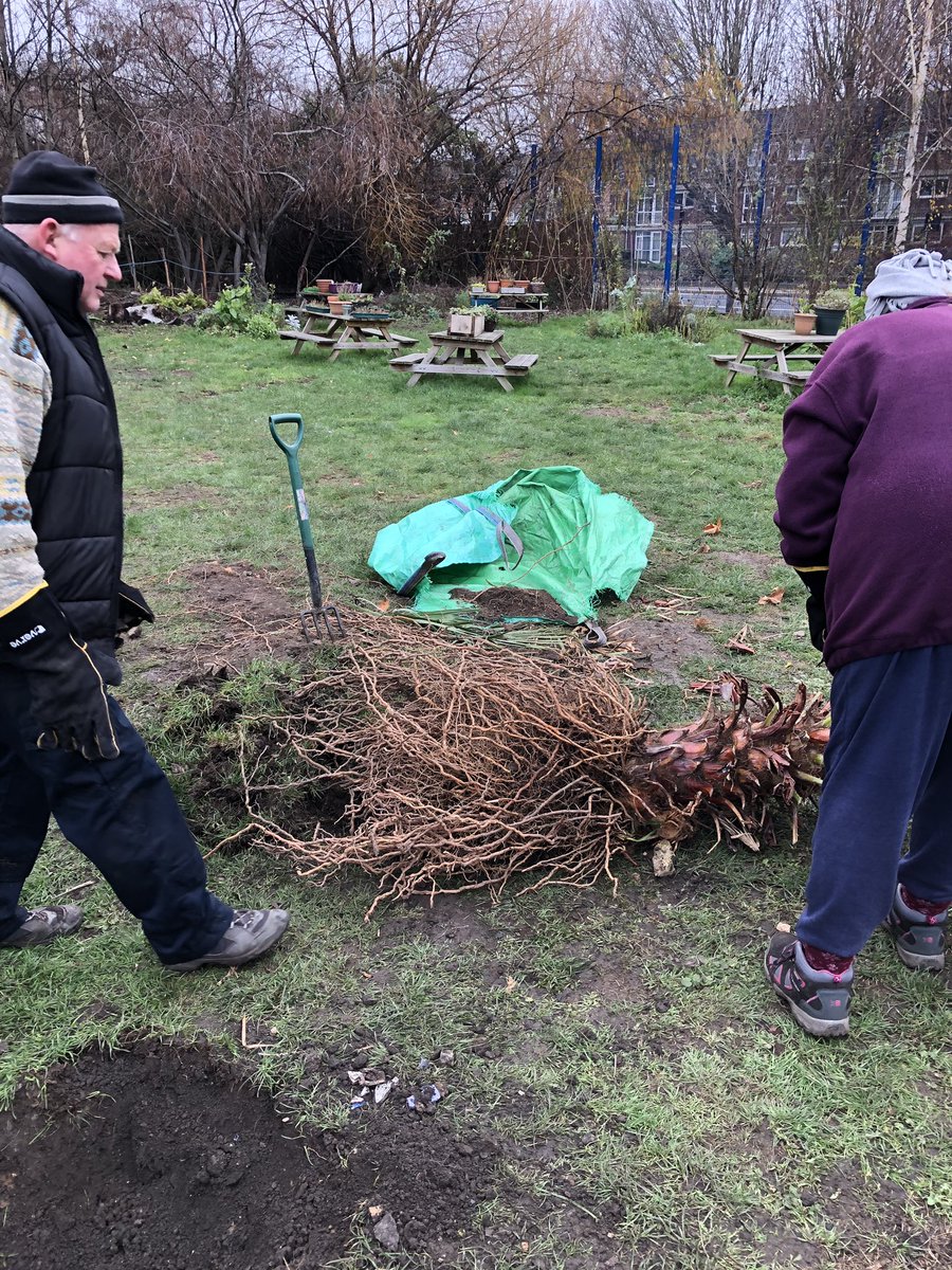 Christchurch School Community Garden tweet media