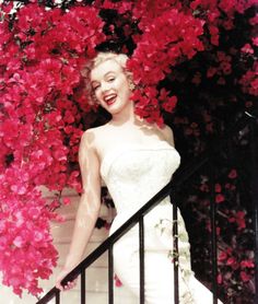 MarilynChannelM's tweet photo. Have a great weekend everyone!
#weekend #saturday #sunday #saturdaynight #sundayfunday #marilynmonroe #marilynmonroefan #marilyner #marilynettes #marilyners #mmcfam #themarilynmonroechannel #goldenageofhollywood #normajeane #marilyn #monroe #mm #beauty #fashion #classic #retro https://t.co/7GO0nXA9oB