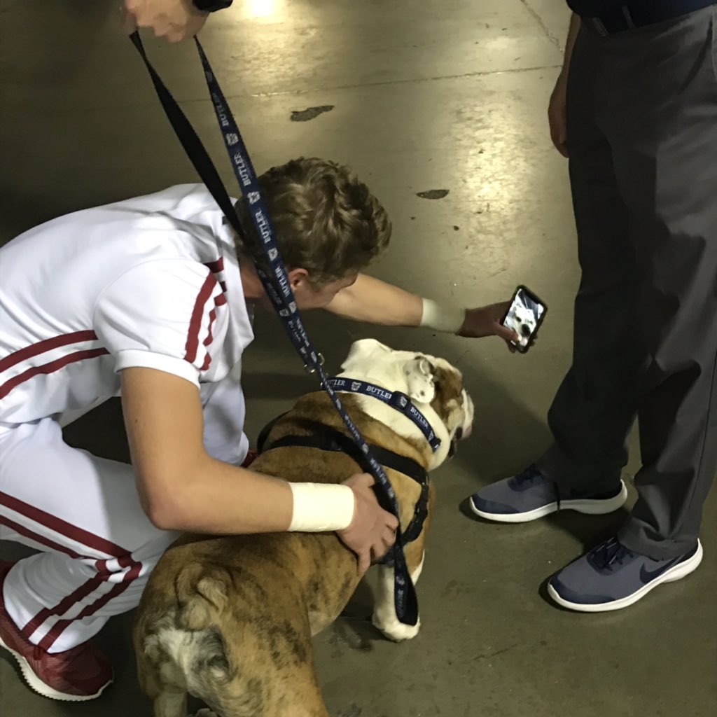 ButlerBlue3's tweet photo. Mascot Envy. I get it.  #GoDawgs #CrossroadsClassic https://t.co/WDtl5T4blX