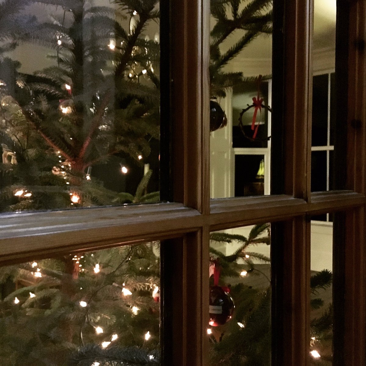 Foyers Lodge On Twitter Oh Christmas Tree Oh Christmas Tree